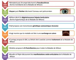 Dates importantes maladie Wilson