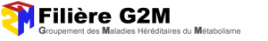 logo-g2m