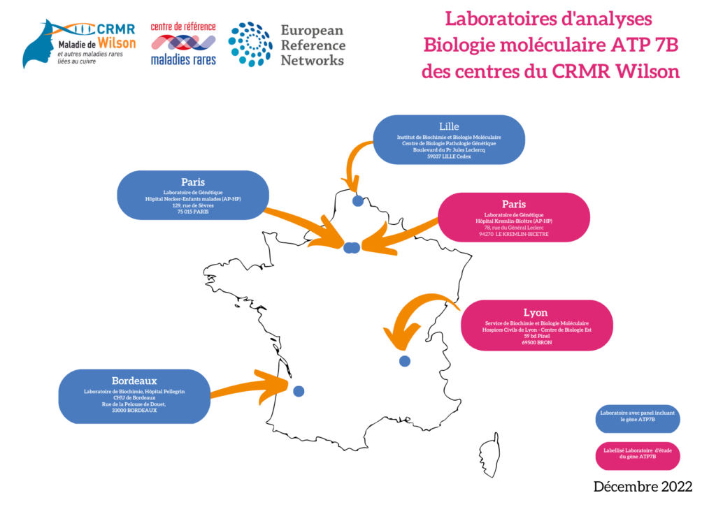 Laboratoires d'analyses Biologie moléculaire ATP7B