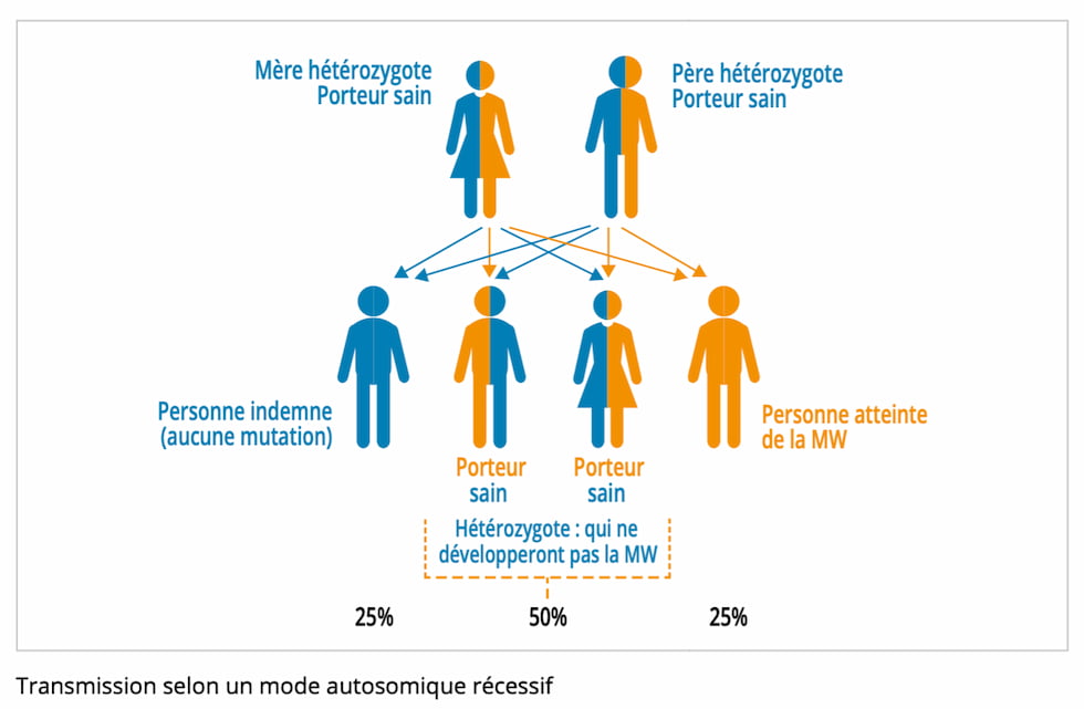 transmission maladie Wilson famille